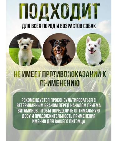 Polidex Polydex multivitum plus for dogs plus 300 tablets - Buy Online on GoSupps.com