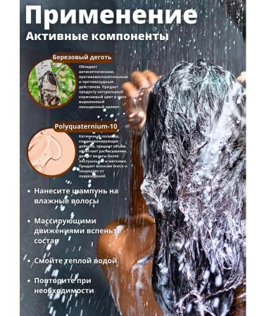 Nevskaya Cosmetics Degtyer shampoo for hair 250 ml. natural - Buy Online on GoSupps.com