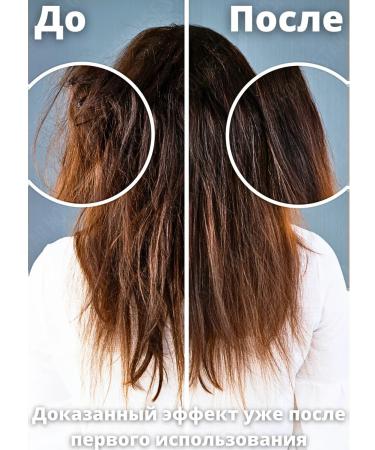 Nevskaya Cosmetics Degtyer shampoo for hair 250 ml. natural - Buy Online on GoSupps.com