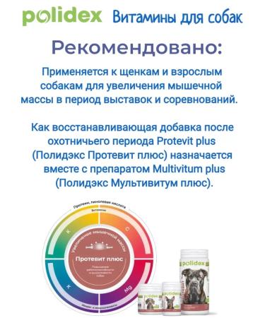 Polidex Polydex prototypes plus for dogs and puppies 60 tablets - Buy Online on GoSupps.com