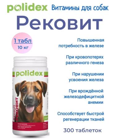 Polidex Polydex Recovit Vitamin Complex for Dogs 300 Tab