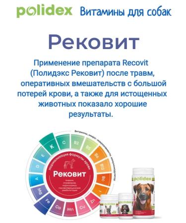 Polidex Polydex Recovit Vitamin Complex for Dogs 60 Tab - Buy Online on GoSupps.com
