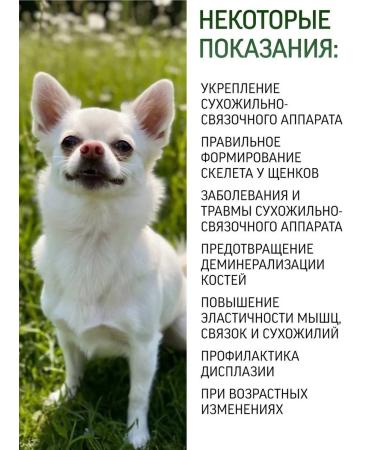 Polidex Polydex Gelabon Plus vitamins for dog joints 150 tab - Buy Online on GoSupps.com