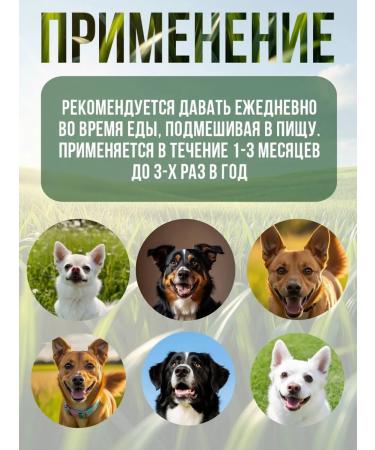 Polidex Polydex Gelabon Plus vitamins for dog joints 300 tab - Buy Online on GoSupps.com