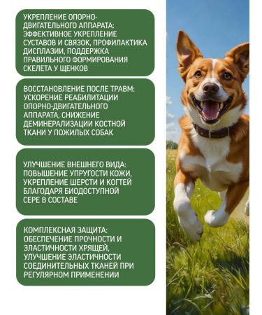 Polidex Polydex Gelabon Plus vitamins for dog joints 300 tab - Buy Online on GoSupps.com