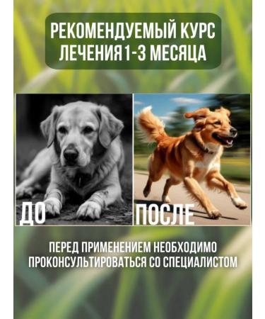 Polidex Polydex Gelabon Plus dogs chondroprotector 60 tablets - Buy Online on GoSupps.com