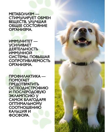 Polidex Polydex Polyvit Calcium Plus Immunity Sobak 60 Tab - Buy Online on GoSupps.com