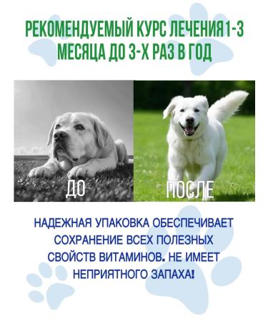 Polidex Polydex Polyvit Calcium Plus Immunity of Dogs 150 Tab - Buy Online on GoSupps.com