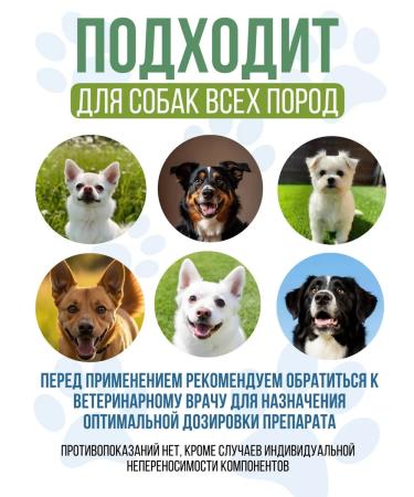 Polidex Polydex Polyvit Calcium Plus Immunity of Dogs 150 Tab - Buy Online on GoSupps.com