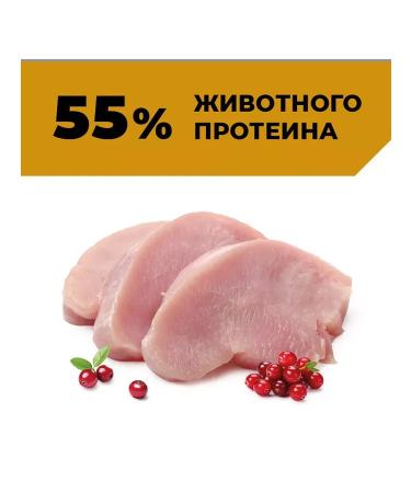 Go Kitchen Dog feed 100 g x 12 pcs - Buy Online on GoSupps.com