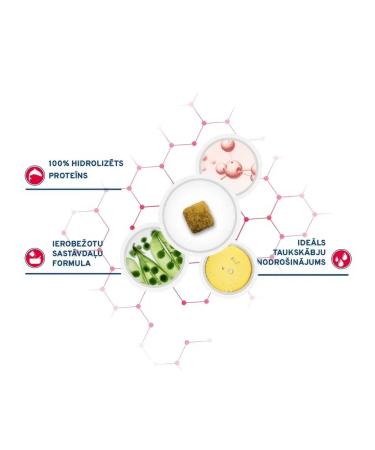 Forza10 Dog food 10 kg - Buy Online on GoSupps.com