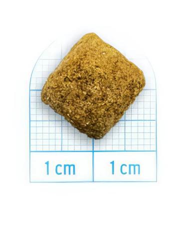 Forza10 Dog food 10 kg - Buy Online on GoSupps.com