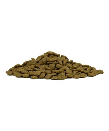 Forza10 Dog food 10 kg - Buy Online on GoSupps.com
