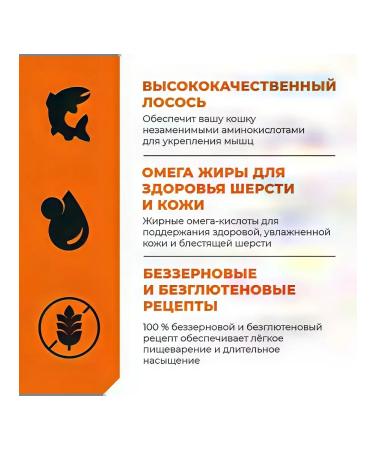 GO'KITCHEN Cat food 400 g - Buy Online on GoSupps.com