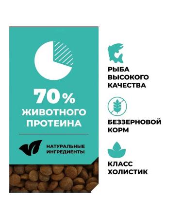 Go Kitchen Cat food 400 g - Buy Online on GoSupps.com