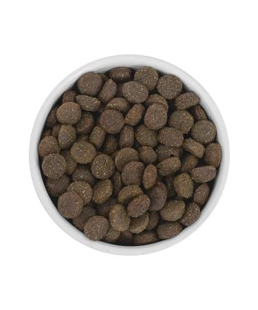SAVITA Dog food 400 g - Buy Online on GoSupps.com