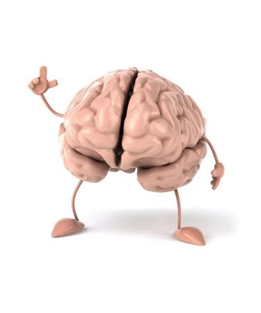 Dr Arsenin Naturotherapy Capsules with metabiotics for the brain "VAZO" Naturotherapy - Buy Online on GoSupps.com