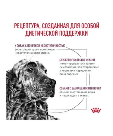 ROYAL CANIN for dogs Renal 2 kg - Buy Online on GoSupps.com