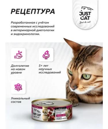 Just Cat Wet food for cats with beef 100 g x 6pcs - Buy Online on GoSupps.com