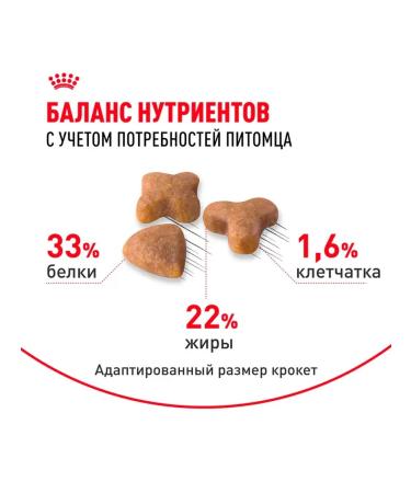 ROYAL CANIN Sensible 33 for Dry Cat 4 kg - Buy Online on GoSupps.com