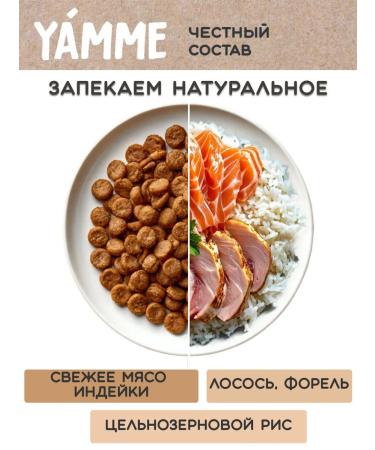 Yamme Feed holistic for kittens with salmon 2 kg of Yammi - Buy Online on GoSupps.com