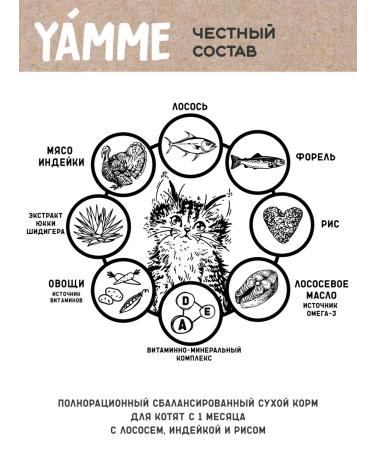 Yamme Feed holistic for kittens with salmon 2 kg of Yammi - Buy Online on GoSupps.com