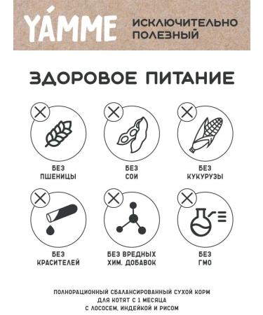 Yamme Feed holistic for kittens with salmon 2 kg of Yammi - Buy Online on GoSupps.com