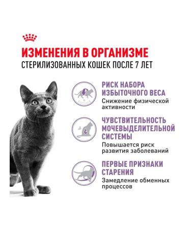 ROYAL CANIN Dry sterilated +7 food for sterilized cats 0.4 kg - Buy Online on GoSupps.com