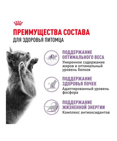 ROYAL CANIN Dry sterilated +7 food for sterilized cats 0.4 kg - Buy Online on GoSupps.com