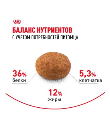 ROYAL CANIN for sterilized cats 7+ dry 3.5 kg - Buy Online on GoSupps.com