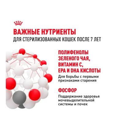 ROYAL CANIN for sterilized cats 7+ dry 3.5 kg - Buy Online on GoSupps.com