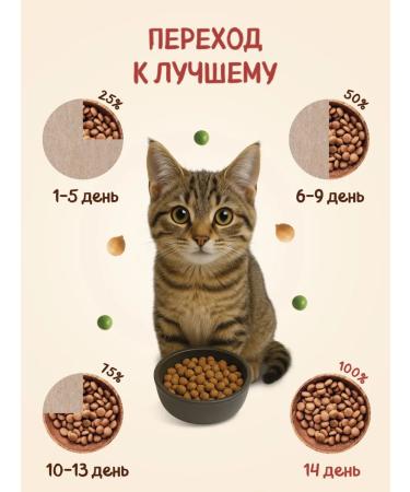 Yamme Bezernovaya food with beef 2 kg of yammi box - Buy Online on GoSupps.com