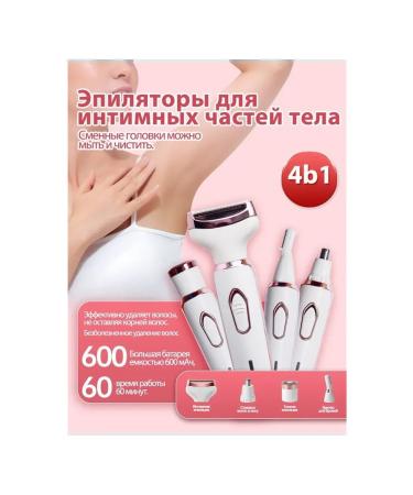 Depositor Epicratorine electric power border 4V1