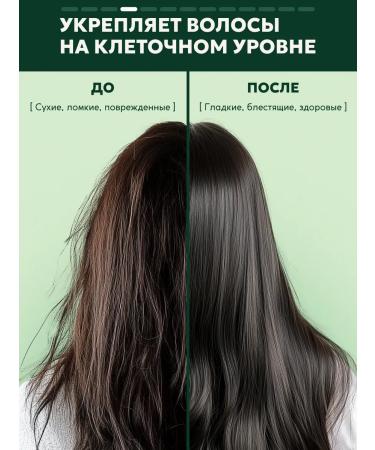 Semily Set of hair shampoo female professional 2 pcs - Buy Online on GoSupps.com