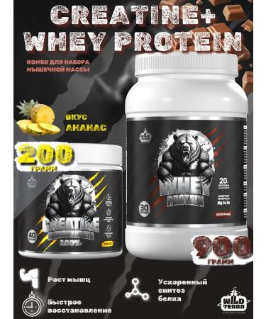 WILD TERRA Protein Whey Protein Chocolate + Creatine Creatine Pineapple