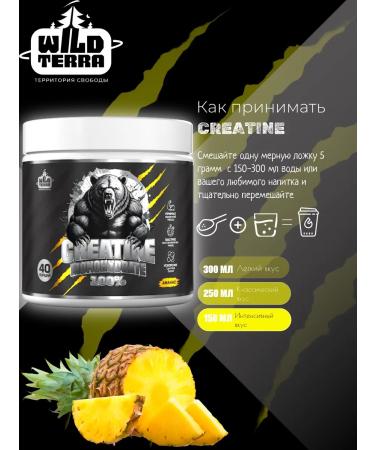 WILD TERRA Protein Whey Protein Chocolate + Creatine Creatine Pineapple - Buy Online on GoSupps.com