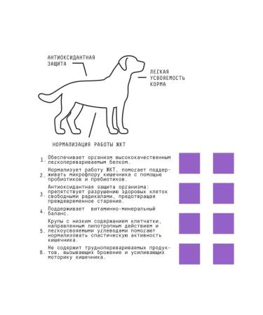 AJO Dry food for dogs Sense with buckwheat 2kg - Buy Online on GoSupps.com