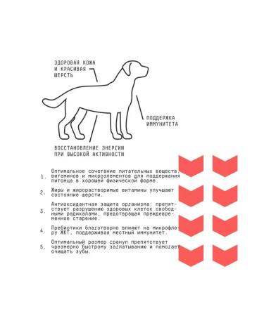 AJO with buckwheat for dogs of medium breeds 12kg - Buy Online on GoSupps.com