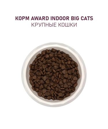 AWARD Dry food for cats beef and chicken 400 g - Buy Online on GoSupps.com