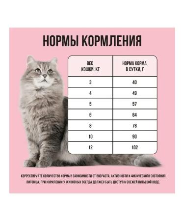 BOWL WOW Dry food for cats with turkey and apple 400 g - Buy Online on GoSupps.com