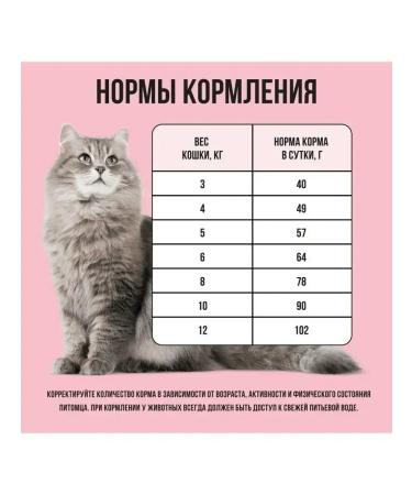 BOWL WOW Dry food for cats with turkey and apple 1.5 kg - Buy Online on GoSupps.com