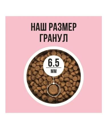 BOWL WOW Dry food for cats with turkey and apple 1.5 kg - Buy Online on GoSupps.com