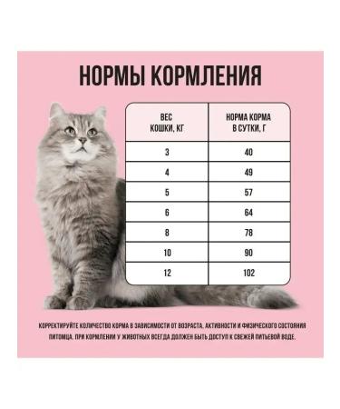 BOWL WOW Dry food for cats with turkey and apple 4 kg - Buy Online on GoSupps.com