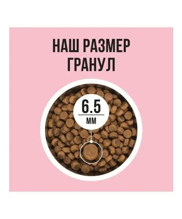 BOWL WOW Dry food for cats with turkey and apple 4 kg - Buy Online on GoSupps.com