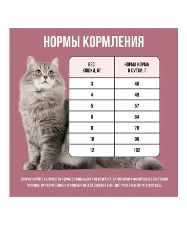 BOWL WOW Dry food for cats with turkey and beets 1.5 kg - Buy Online on GoSupps.com