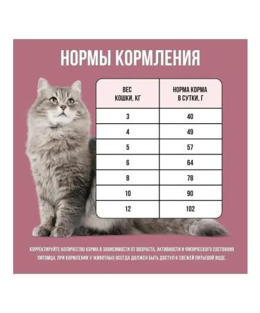 BOWL WOW Dry food for cats with turkey and beets 8kg - Buy Online on GoSupps.com