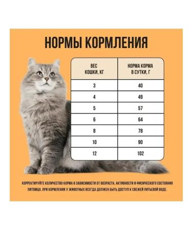 BOWL WOW Dry food for cats with senses. food. with turkey and pumpkin 400 g - Buy Online on GoSupps.com