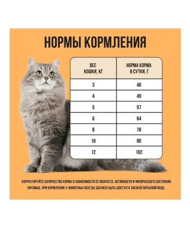 BOWL WOW Dry food for cats with senses. food. with turkey and pumpkin 1.5 kg - Buy Online on GoSupps.com