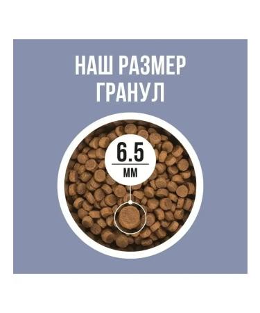 BOWL WOW Dry food for kittens with chicken and blueberries 1.5kg - Buy Online on GoSupps.com