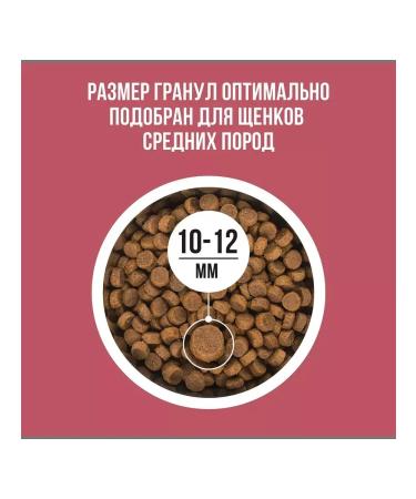 BOWL WOW Dry food for puppies with turkey and rice 2 kg - Buy Online on GoSupps.com